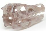 Carved, Banded Fluorite Dinosaur Skull #218479-5